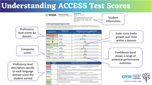 understanding access test scores image